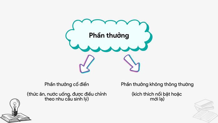 Hệ thống khen thưởng trong bộ não con người