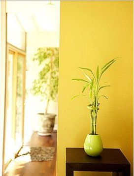 สีเหลืองในฮวงจุ้ยมีอิทธิพลที่สำคัญในการเสริมพลังบวกและขับเคลื่อนพลังงานที่ดีให้กับชีวิตของเรา