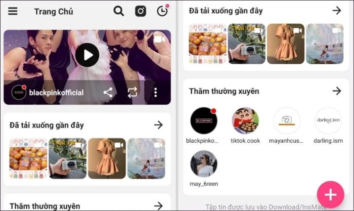 InsMate Pro giúp bạn tải miễn phí các clip Instagram có âm thanh.