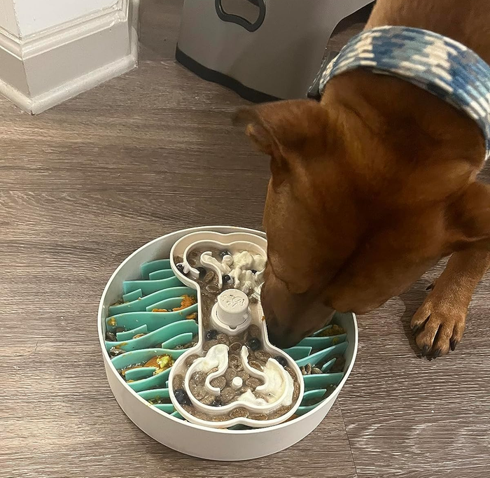 A reviewer’s dog eating from a slow feeder bowl with a spinning bone-shaped compartment and a bottom insert