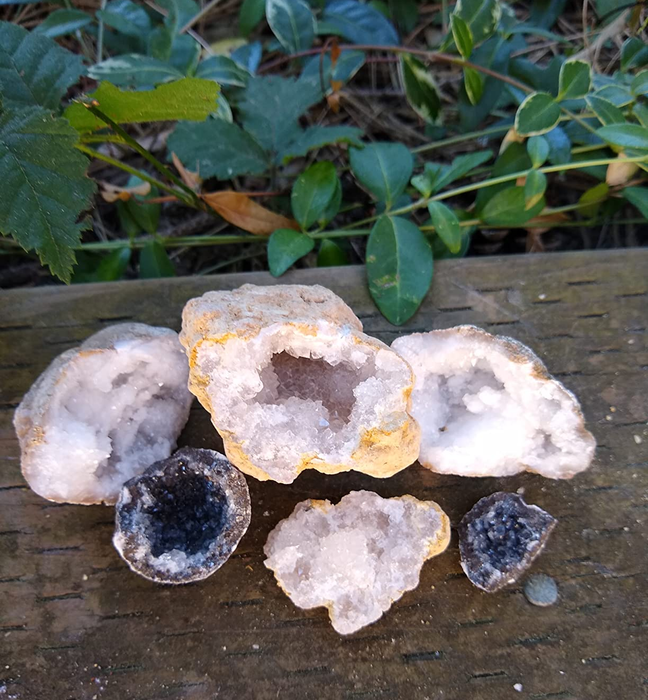 A collection of five geode crystals in various sizes and colors, arranged on a wooden surface outdoors, with green foliage in the background.
