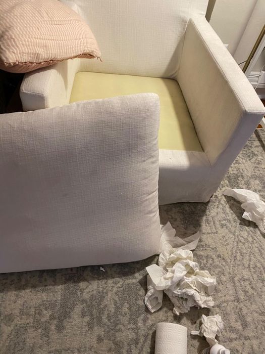 A white armchair with a detached cushion reveals its yellow underside. Crumpled paper towels are scattered around the chair and rug, creating a disorganized scene.