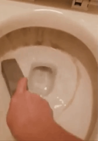 A gif showing a reviewer using the Pumie on a stained toilet bowl.