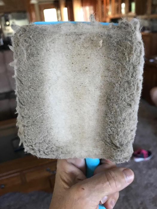 A reviewer displaying a used and dirty Baseboard Buddy pad.