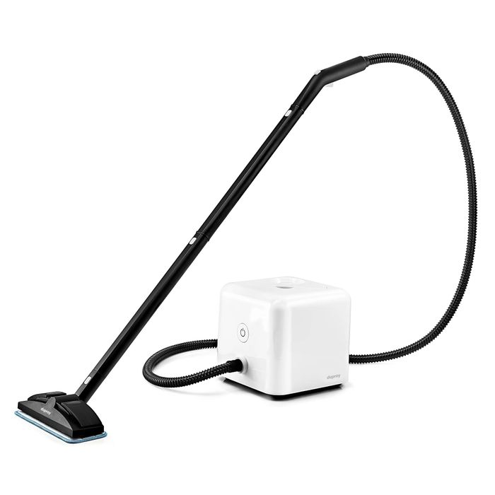 A steam cleaner equipped with a long hose and rectangular nozzle, designed for deep cleaning and sanitizing various surfaces around the home