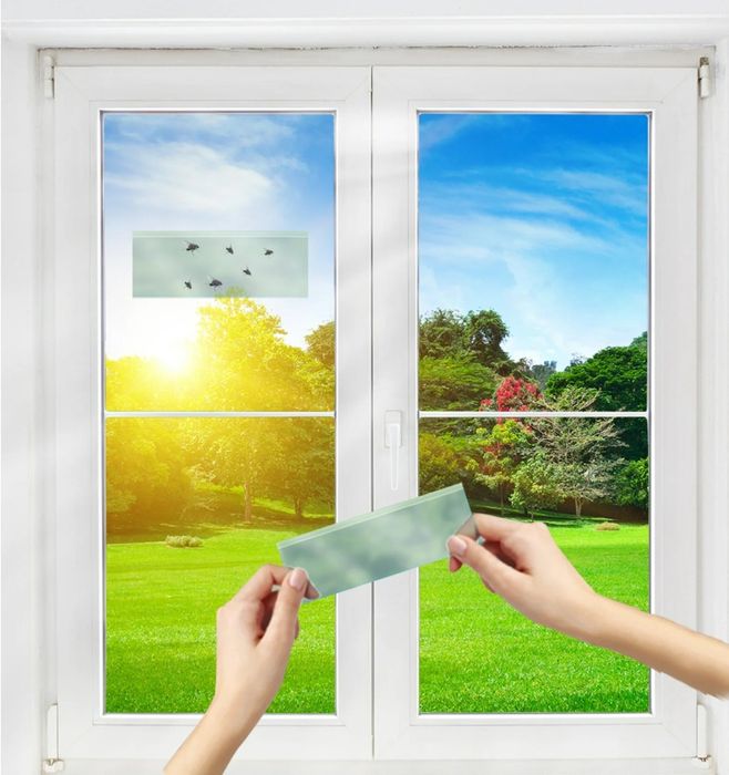 A pair of hands holds a sample of frosted window film against a clear window, with a sunny view of greenery visible outside