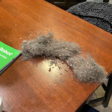 a reviewer’s photo of the dirt, dust, and pet hair collected by their iRobot Roomba vacuum