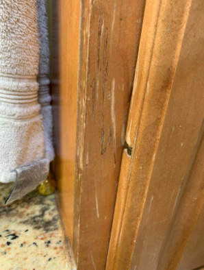 A photo from a reviewer displaying a scratched-up cabinet