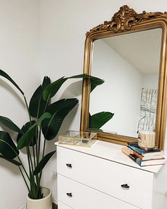 The reviewer's ornate gilded mirror is elegantly perched atop a bedroom dresser, accompanied by a lush houseplant.