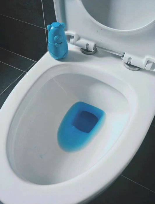 blue bear beside the toilet with blue-colored water