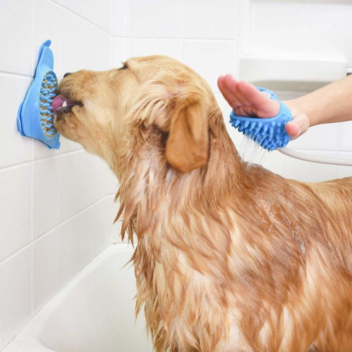 A dog licks the peanut butter-covered device attached to the shower wall while the model cleans the dog with a bristled scrubber connected to a water-shooting tube.