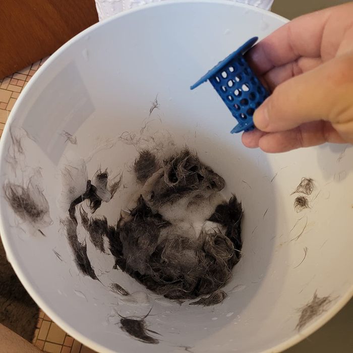 A lot of dog hair trapped in a drain catcher