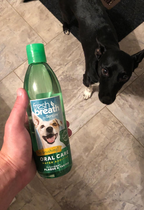 The bottle of the water additive held up in front of a dog, showing the product clearly