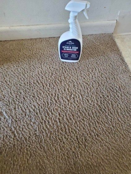 The carpet after the stain was removed using the stain eliminator.