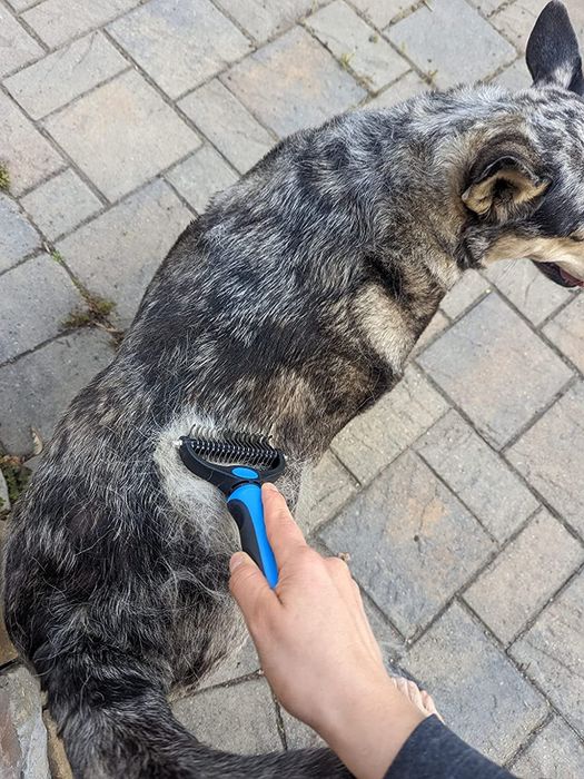 A reviewer demonstrates the brush by using it to shed fur from their dog.