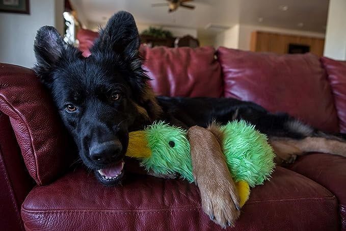 A dog lounging on a couch, cuddling with the green stuffed duck.
