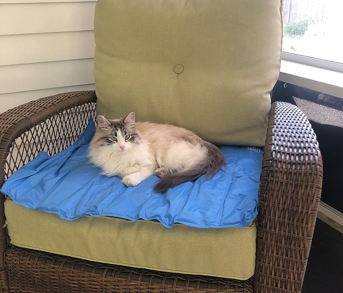 The reviewer’s cat enjoying the cooling pad placed on a patio chair.