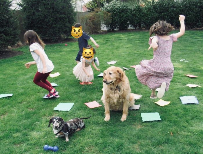 Kids and dogs playing on the lawn, enjoying the Floor is Lava game.