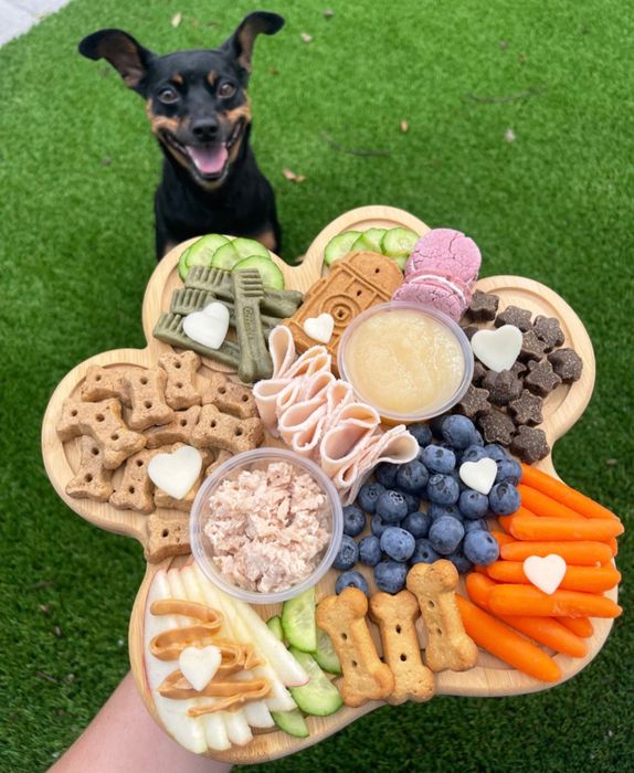 Reviewer holding a paw-shaped tray filled with treats, with their dog smiling in the background