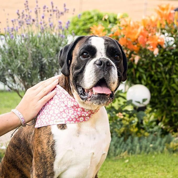 A dog in a pink daisy bandana, with their owner petting them, both wearing matching bracelets.