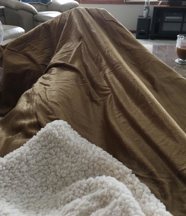 A reviewer lying comfortably under the blanket