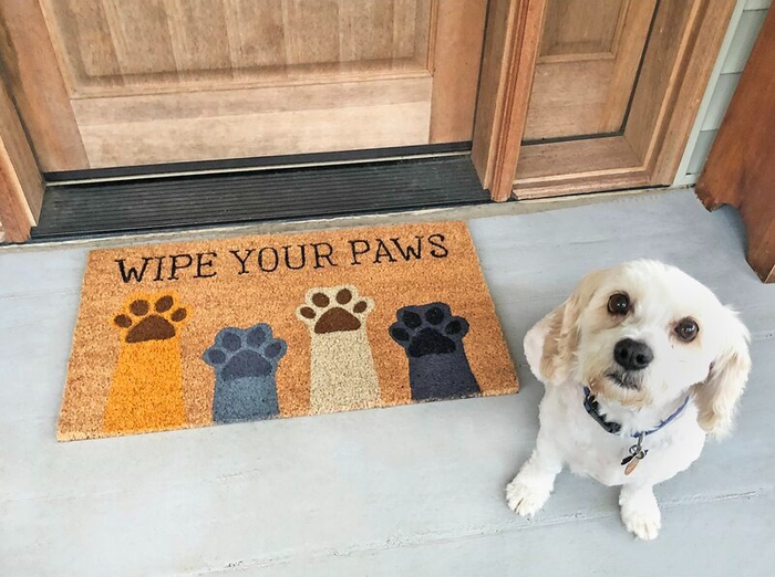 A dog sitting in front of a doormat that says 