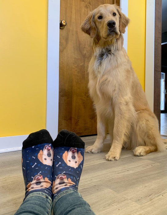Another reviewer is sporting navy socks with a golden retriever design, accompanied by the real dog in the background.