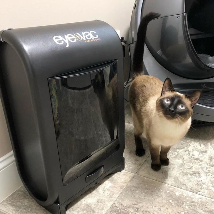 A reviewer’s photo showing their cat next to the automatic vacuum.