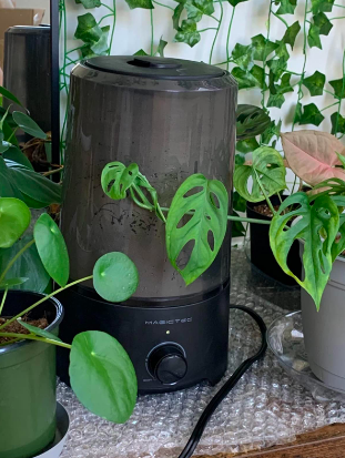 A close-up view of the stylish black humidifier.