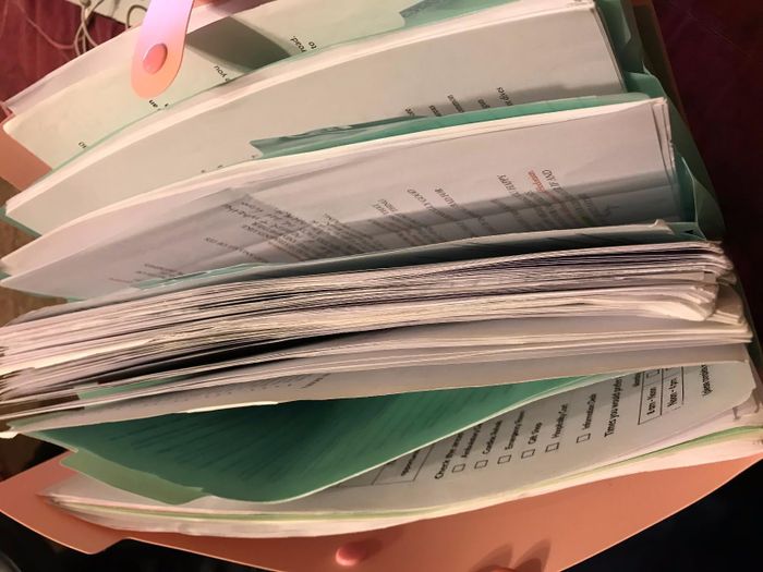 A reviewer's open pink file folder filled with various papers and documents, including typed text and checkboxes