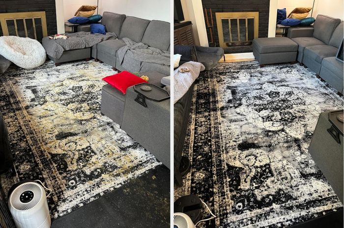 A living room featuring a side-by-side comparison of a clean rug and a dirty one, with the cleaned rug showing noticeable improvement on the right.