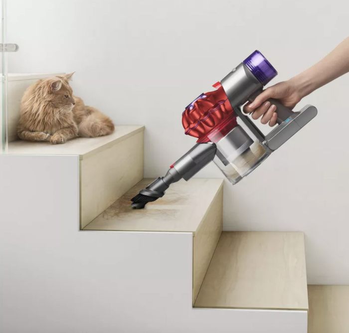 A compact Dyson stick vacuum in action, vacuuming stairs while a cat lounges nearby