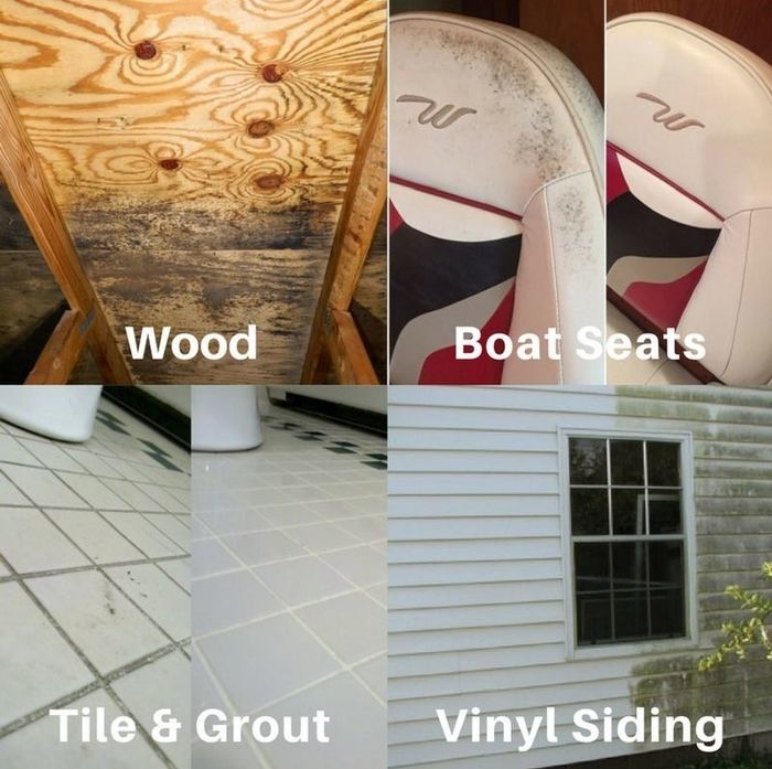 mold transformations on wood, boat upholstery, tile and grout, and vinyl siding