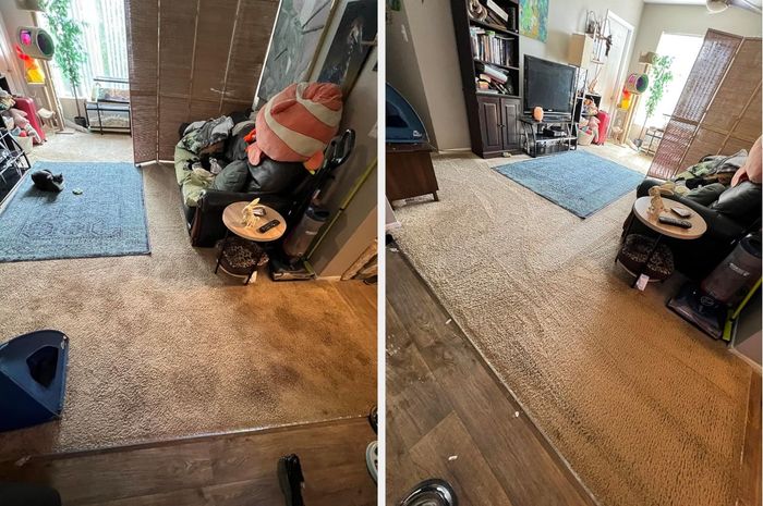 A before and after image of the reviewer’s carpet after cleaning.