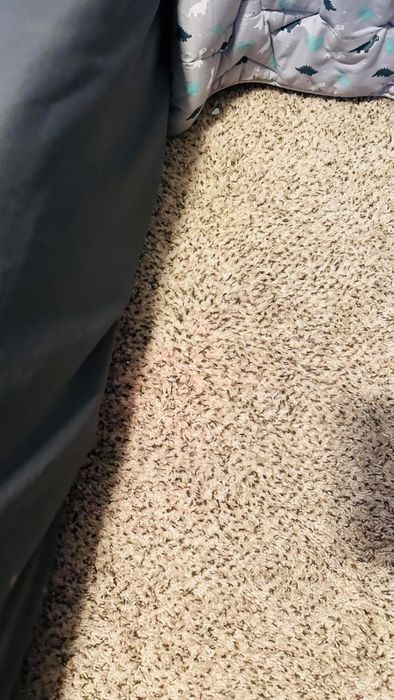 A tan carpet with a dark gray bedspread on one side and a dinosaur-patterned blanket on the other side.