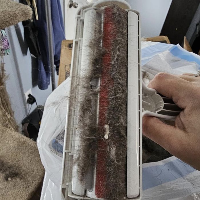 A hand is seen holding a vacuum roller, which is tangled with hair and debris. In the background, a pet scratching post and various household items can be spotted.
