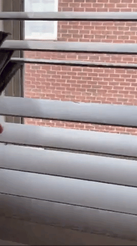 A person is using the duster brush to clean across two blinds.
