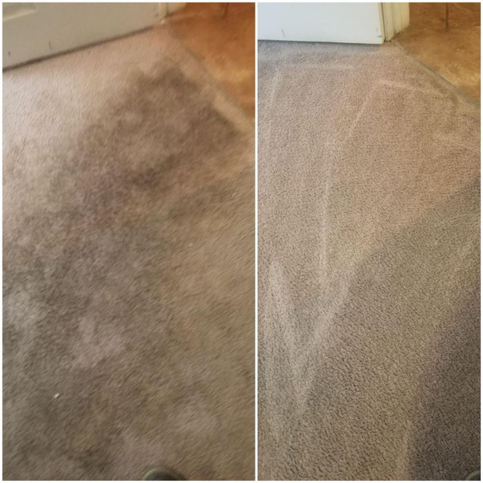 A before-and-after carpet cleaning comparison showing a dirty section on the left and a clean, pristine section on the right.