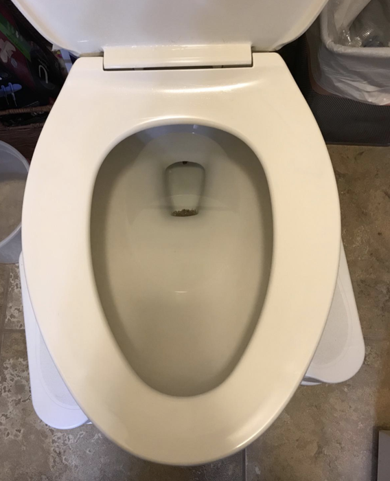 An after photo of the same toilet, now completely free of stains