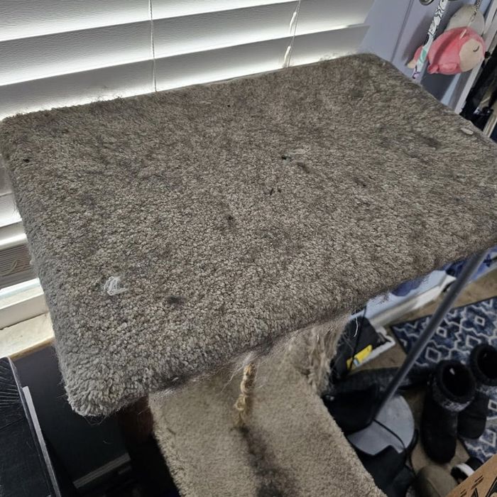 A cat tree with worn-out carpeting on its scratching posts and platforms is positioned near a window with closed blinds.