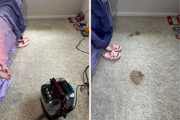 Two side-by-side images showcasing a carpet before and after cleaning with a carpet cleaner machine. On the left, the carpet is clean with stains gone, while the right image shows the aftermath of dog poop stains in the room.