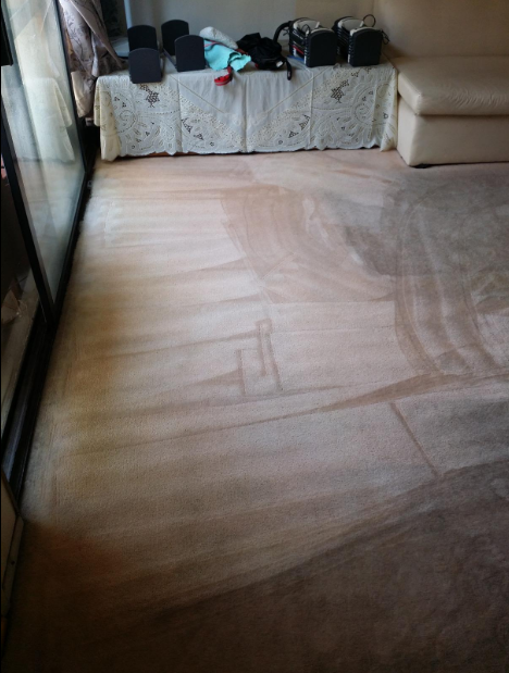 A carpet showing a noticeable improvement in cleanliness after cleaning