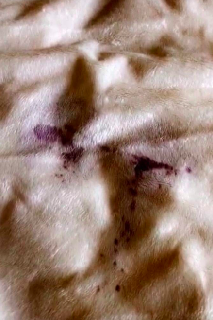 A reviewer’s before photo of a blanket stained with red wine