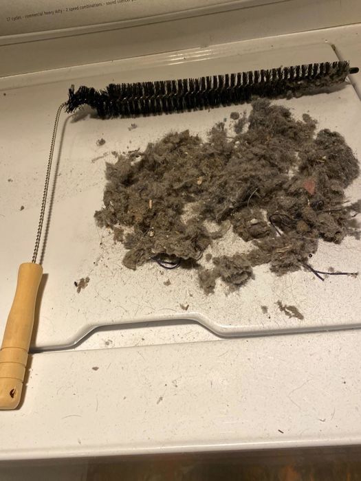 A reviewer’s coil brush next to a pile of dust it has removed, highlighting its cleaning power and efficiency.