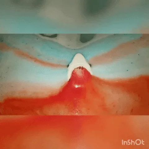 The shark bath bomb dissolving in the tub, creating a fun and bubbly effect