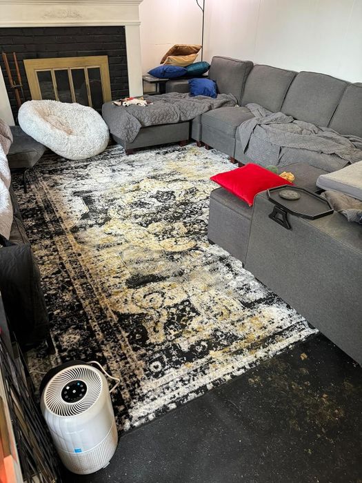 A black and white rug with visible poop stains on it.