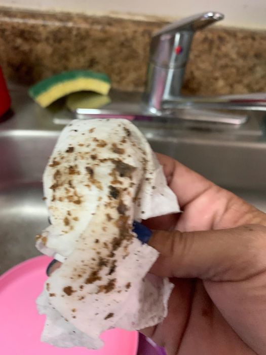 The reviewer reveals the surprising amount of grime that was removed from her filthy washing machine.