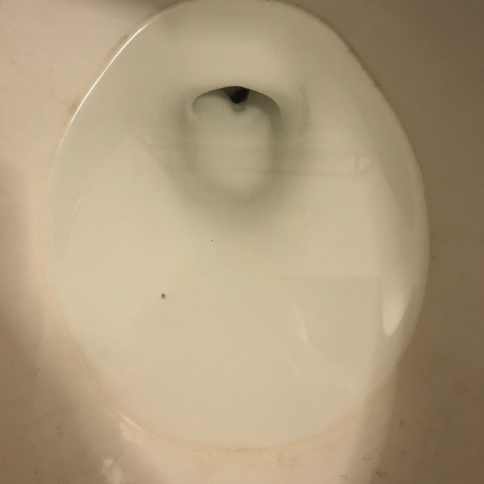Photo of a toilet before cleaning, displaying hard water rings and stains