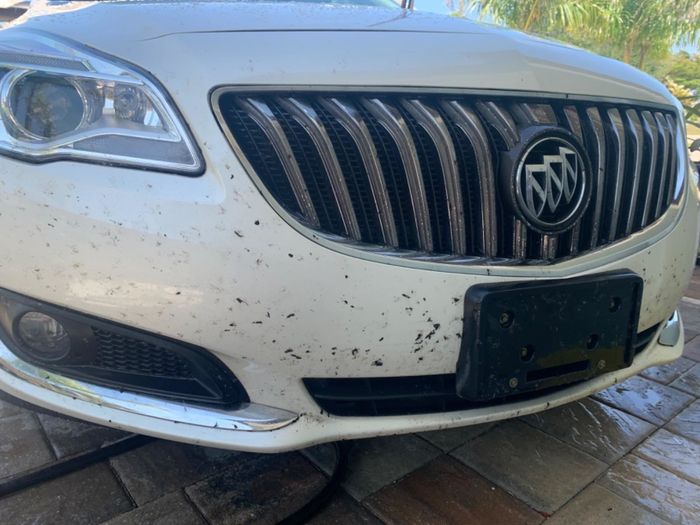 A reviewer’s photo of a white car with dead bugs splattered across the front bumper