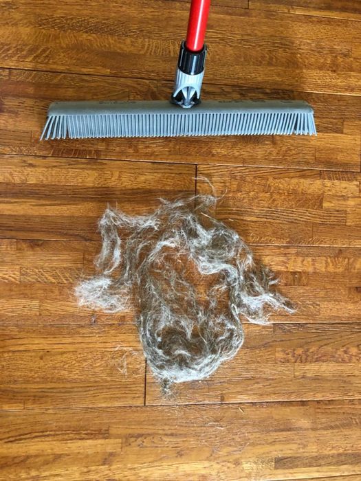 a reviewer’s rubber broom placed next to a pile of pet hair on a wooden floor